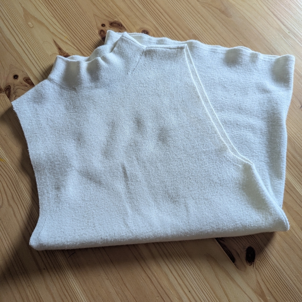 Express Sleeveless Mock Neck Sweater